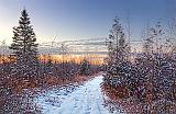 Snowy Rideau Trail At Sunrise_03335